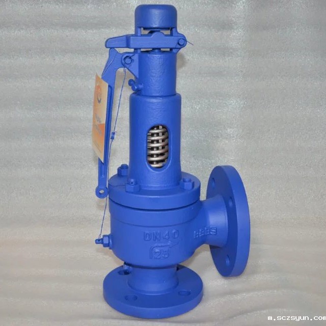 进口安全阀安装简述12条规则(图1)