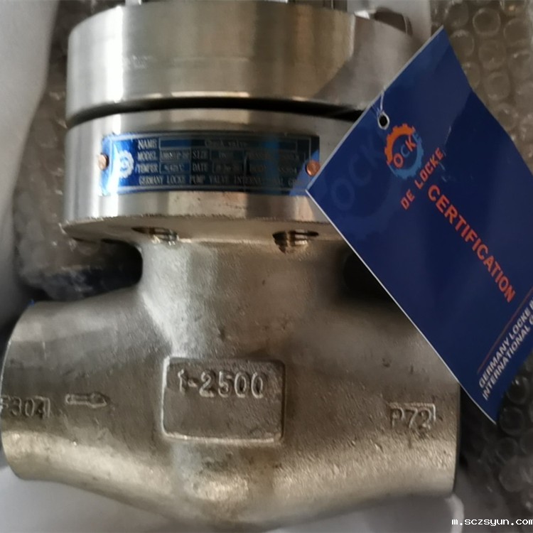 进口止回阀常见故障原因及预防和维修(图1) 进口止回阀常见故障原因及预防和维修(图1)