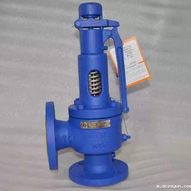 进口安全阀使用重点(图1)