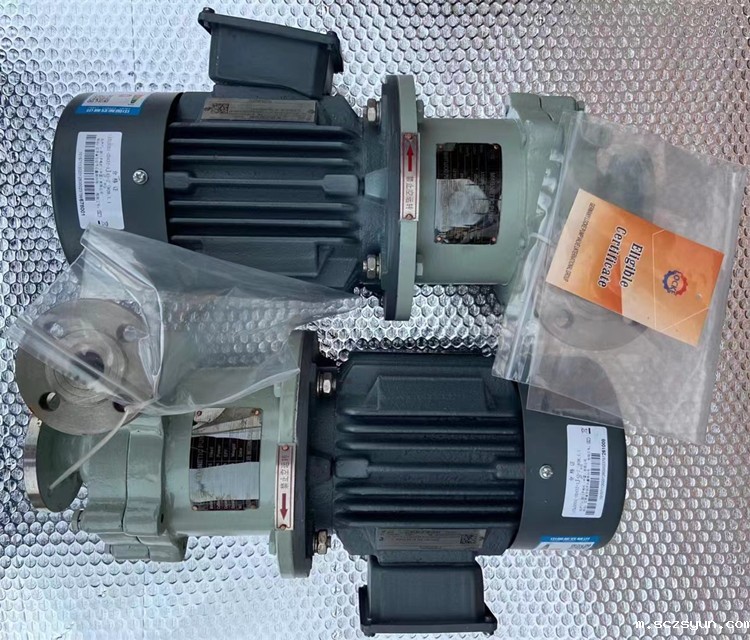 进口磁力泵的市场畅销优势体现在哪些方面(图1)