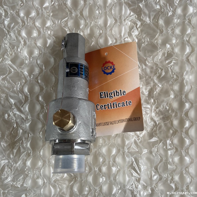 进口低温安全阀(图1)