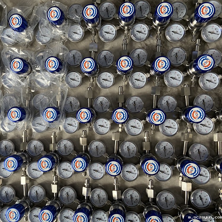 进口钢瓶减压阀(图1)