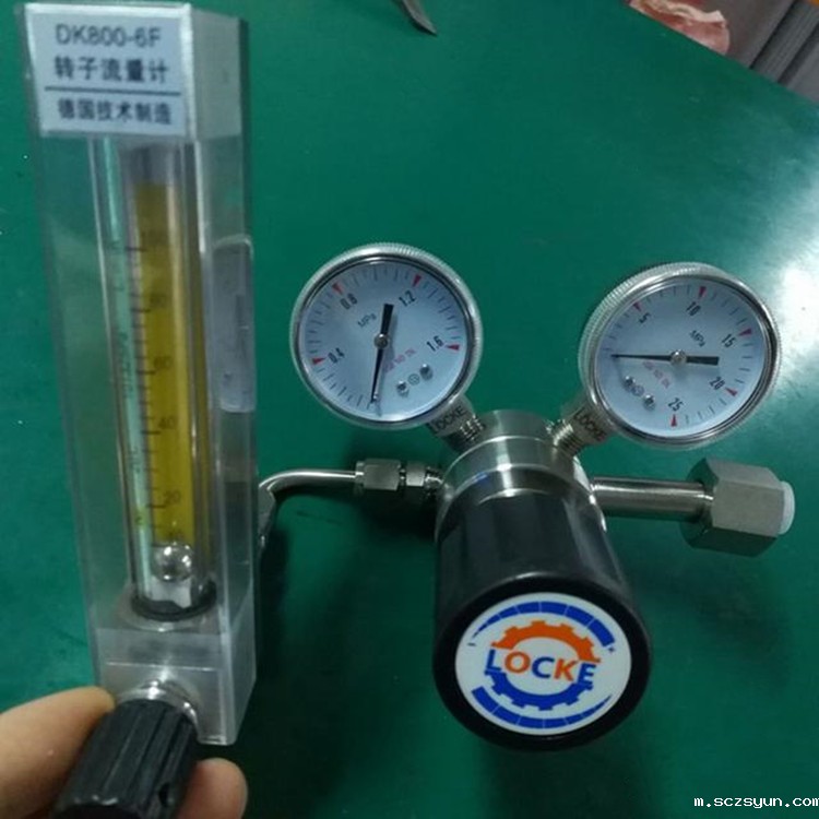 进口带流量计钢瓶减压阀(图1)