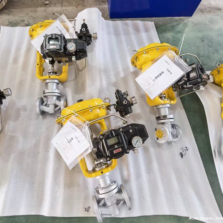 进口气动调节阀故障检验技巧(图3)